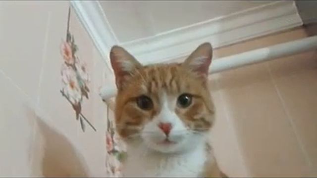 Кузьмича взяли с поличным смотреть онлайн