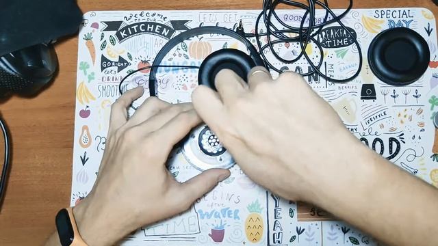 Ritmix RH-508. Подарок судьбы...