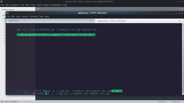 AGE шифрование с помощью SSH ключей (Linux Debian 11/Ubuntu 22) #cryptographyhowto смотреть онлайн