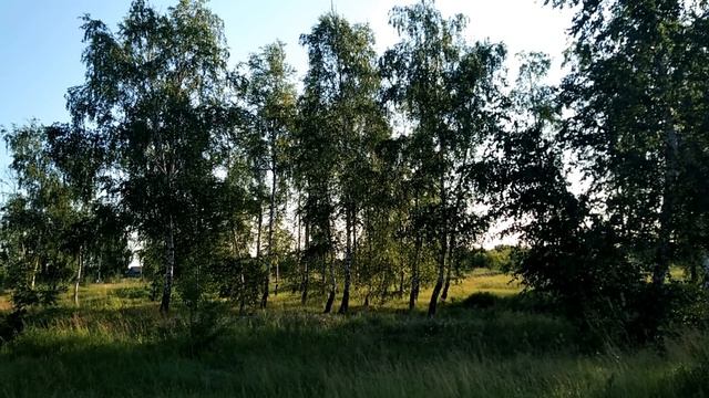 19 июня-Илларионов день/ От чего можно избавиться /Что нельзя делать. смотреть онлайн