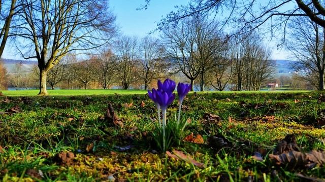 Nature photography Germany Breiternauersee Neckarsulm Schwarzwald baden württemberg смотреть онлайн