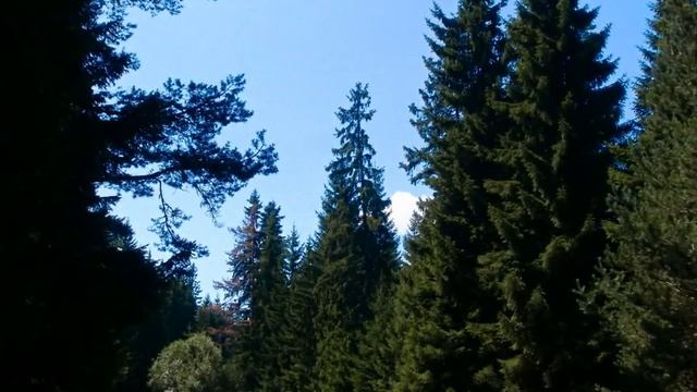 Из околностите на Велинград Bulgaria Velingrad and surroundings смотреть онлайн