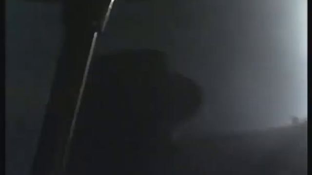 Fields Of The Nephilim - Visionary Heads, Live 1990