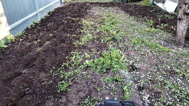 КУЛЬТИВАТОР "ТАРПАН" ТМЗ МК 03. МОДЕЛЬ С МОТОРОМ "Briggs & Stratton Quantum XM 60" смотреть онлайн