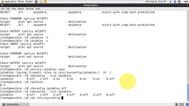Linux Initial Setup смотреть онлайн