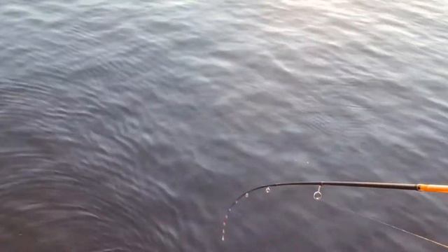 #12 #мормышинг Впервые пробую ловить на мормышку! Вот это да! смотреть онлайн