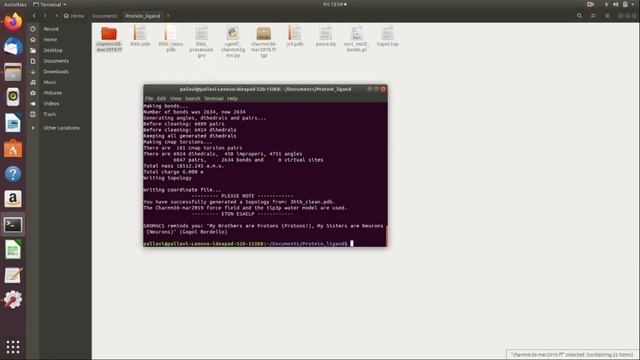Molecular Dynamics Tutorial | Protein-Ligand Complex: GROMACS - PART 1