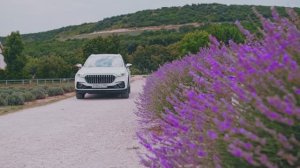 Hongqi HS5