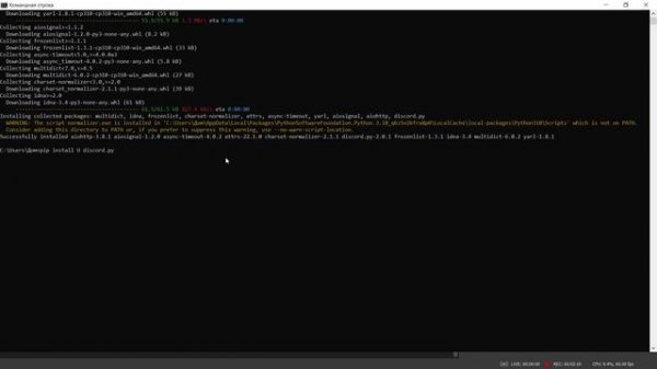 Создаем Discord бота на Python (Windows)