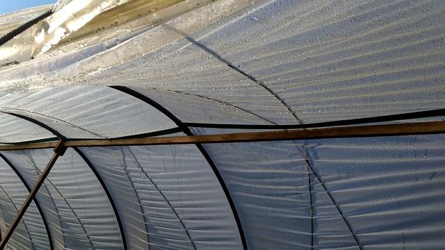 2021-07-29 Теплица-парник своими руками. Обзор смотреть онлайн