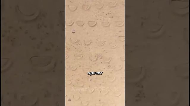 Великая Зелёная Стена