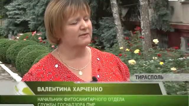 Все - на борьбу с амброзией! смотреть онлайн