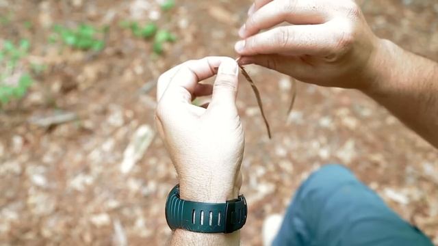Black Scout Tutorials - Make Cordage From Natural Materials