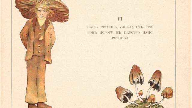 Е. Смирнова - В царстве папоротника (1912 г) смотреть онлайн