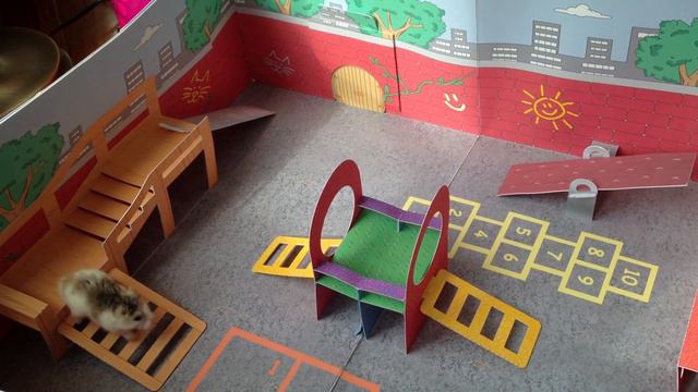 Munchkin Playing in his Pop-Up Playland! смотреть онлайн