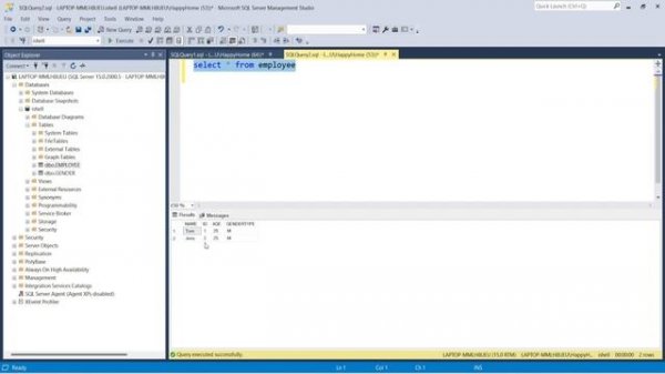 Part 19 - Auto Increment - SQL Tutorial using SQL Server
