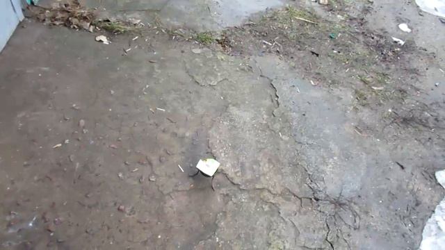 марганцовка и магний смотреть онлайн