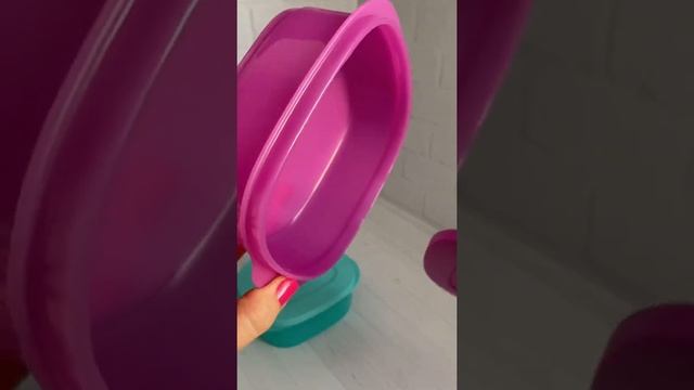 Контейнер пищевой, Контейнер для транспортировки готовой еды Tupperware, 500 мл, 2 шт