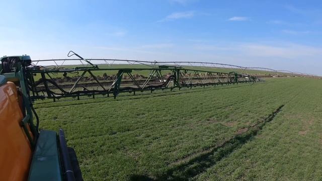 This Spring смотреть онлайн