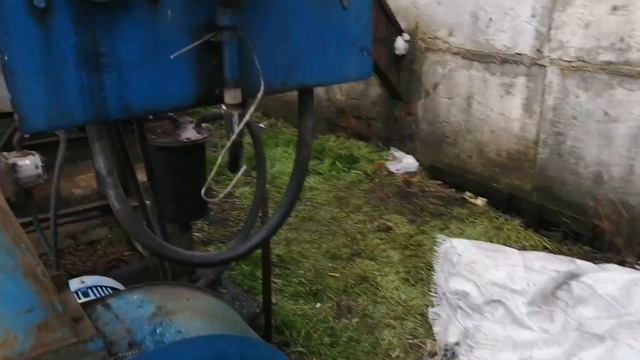 Сушка подсолнечника одним глазом смотреть онлайн