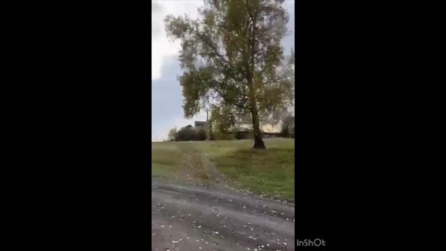 Дервни Белоносова, Черёмухова Пановской управы смотреть онлайн