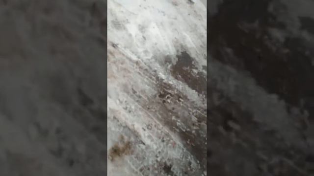 Идём в магазин (Буслик) за подарками на Новый год /Город Бобруйск /Miss Nastya /. смотреть онлайн