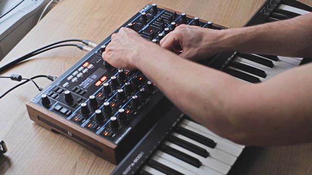 NOVATION PEAK Demo (no Talking)