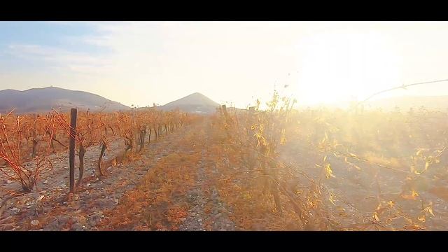 Кардиган из мохера спицами смотреть онлайн