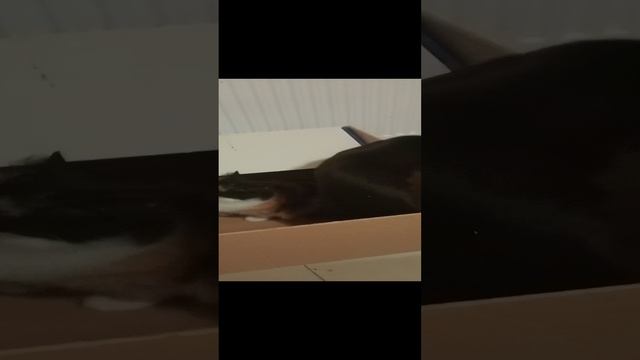 херня смотреть онлайн