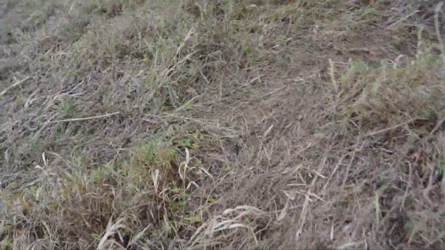 на рыбалку одним днем... смотреть онлайн