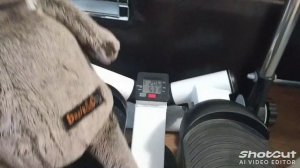 первый день в лагере для басиков 🐱🐱🐈🐈😹😹😼😼