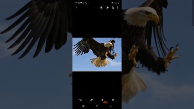 сауат ашу 1сынып "З дыбысы мен әрпі" 105сабақ смотреть онлайн