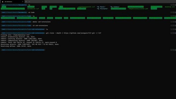 My AWESOME new windows terminal setup | ZSH on Windows