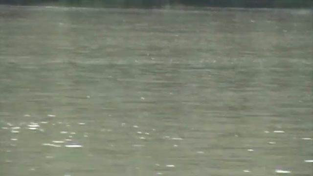 tiski cvet (od 10 pa do 15 juna samo na tisi) смотреть онлайн