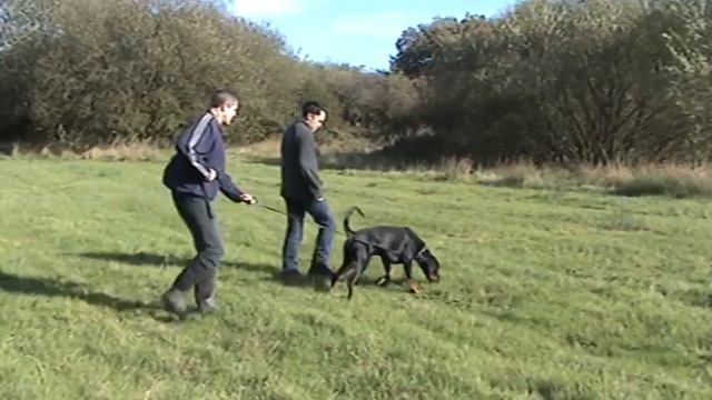 Aritaur Vincent Vega Tracking 11-10-2009 (part 2) смотреть онлайн