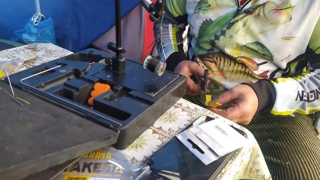 Нахлыст. Рыбалка в Калининграде. Сплав по р.Шешупе. Flyfishing. Нахлыстовая рыбалка. Голавль. Жерех