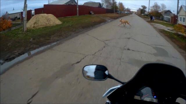 Город Цемента Новоульяновск смотреть онлайн