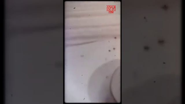 Лорен Гитарный (презентация артиста) смотреть онлайн