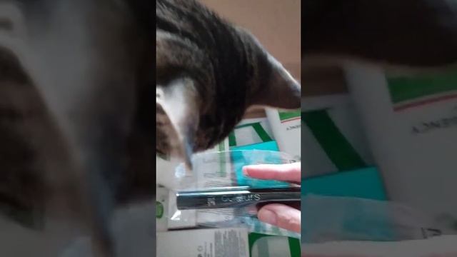 Посылка от ЛР смотреть онлайн