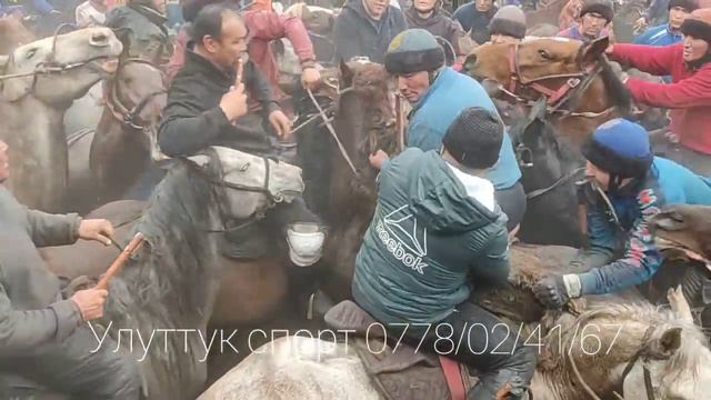Ийри-Суу Акыл чон УЛАК берди 10 тай сайды 12 марта 2022 г. смотреть онлайн