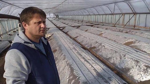 Грядки для рассады смотреть онлайн