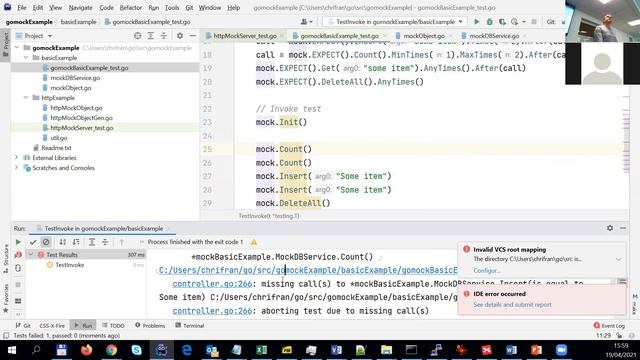 PROG2005: Mocking using gomock смотреть онлайн