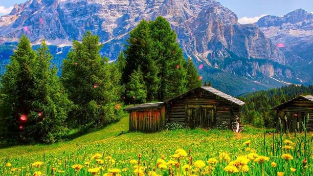 Весенняя пробуждающая музыка и Нежное благоухающее дыхание Весны под музыку Сергея Чекалина #65