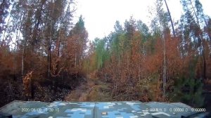 На бунгало у Робинзона большой шухер