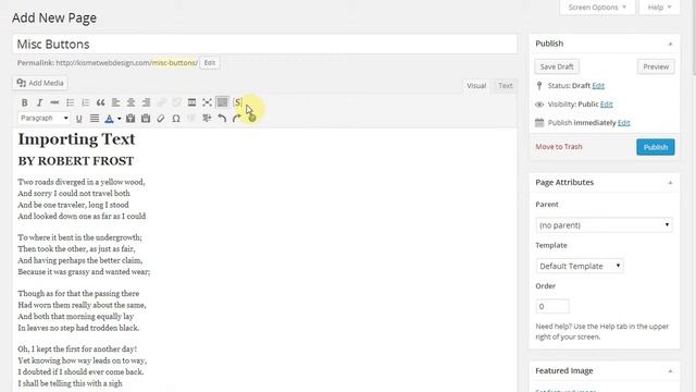 WordPress Basics - Miscellaneous Buttons смотреть онлайн