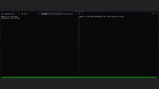 CVE-2022-44877 Exploitation - Centos Web Panel 7 Unauthenticated RCE смотреть онлайн