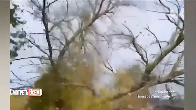 Смотреть всем 30.01.2024