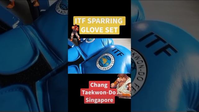 ITF SPARRING GLOVE GEAR | 11 November 2022 {#497] смотреть онлайн