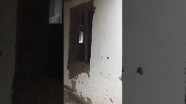 Вся семья в сборе!!!! смотреть онлайн