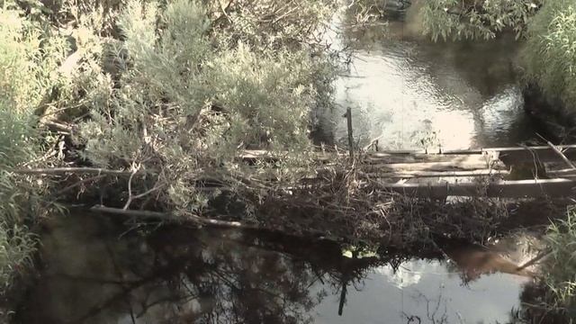 перееезд/кладка через речку смотреть онлайн